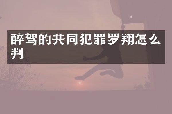 醉驾的共同犯罪罗翔怎么判