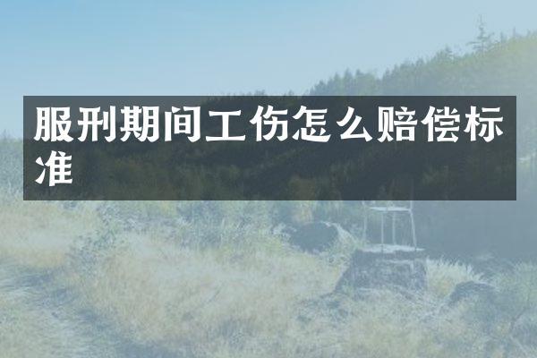 服刑期间工伤怎么赔偿标准