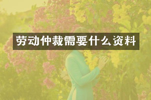 劳动仲裁需要什么资料