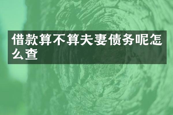 借款算不算夫妻债务呢怎么查