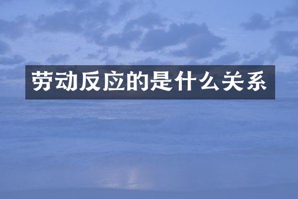 劳动反应的是什么关系