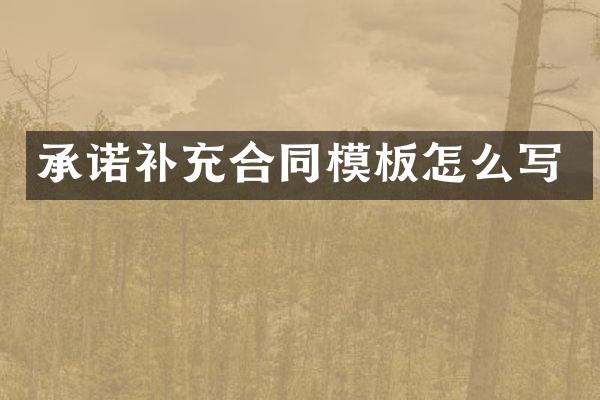 承诺补充合同模板怎么写