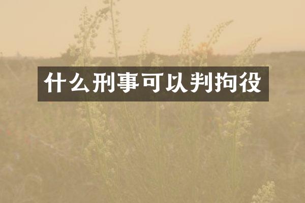 什么刑事可以判拘役