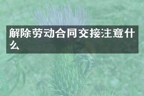 解除劳动合同交接注意什么