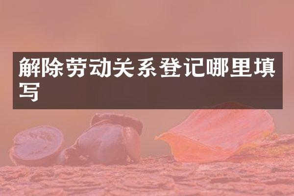 解除劳动关系登记哪里填写