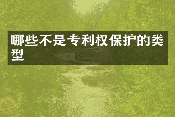 哪些不是专利权保护的类型