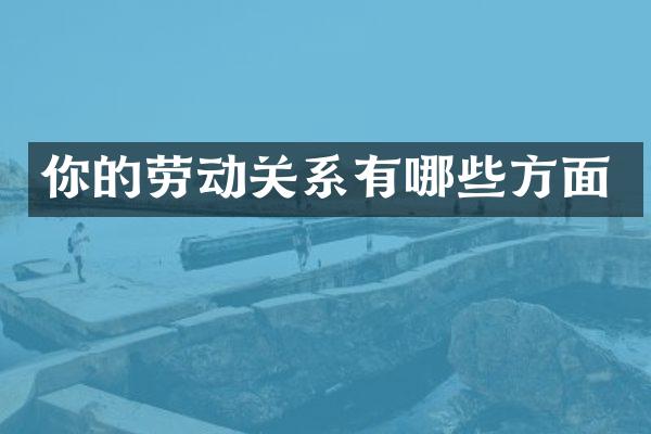 你的劳动关系有哪些方面