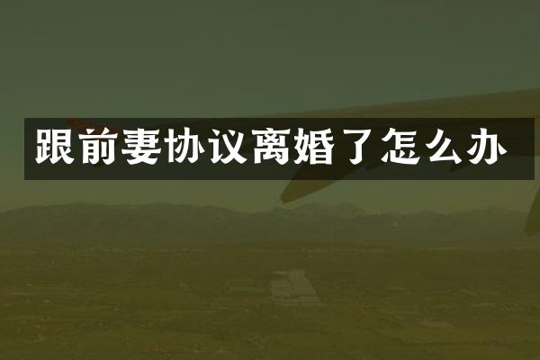跟前妻协议离婚了怎么办