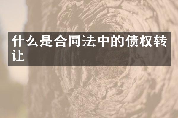 什么是合同法中的债权转让