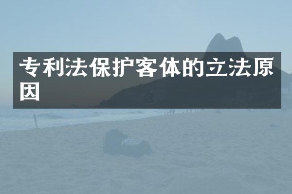 专利法保护客体的立法原因