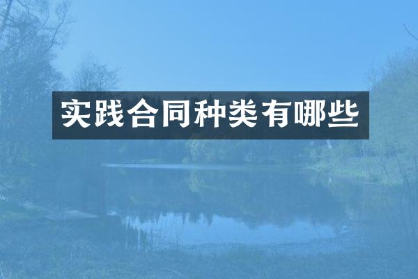 实践合同种类有哪些