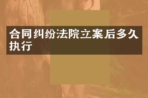 合同纠纷法院立案后多久执行