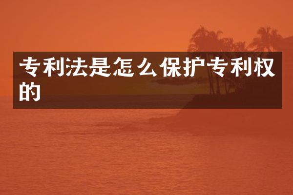 专利法是怎么保护专利权的