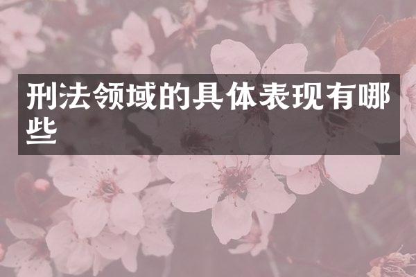 刑法领域的具体表现有哪些
