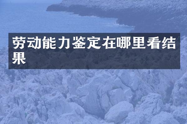 劳动能力鉴定在哪里看结果