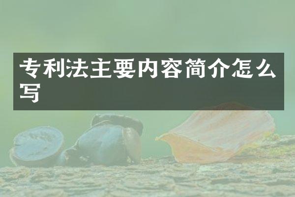 专利法主要内容简介怎么写