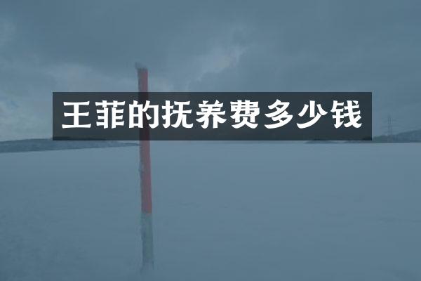 王菲的抚养费多少钱