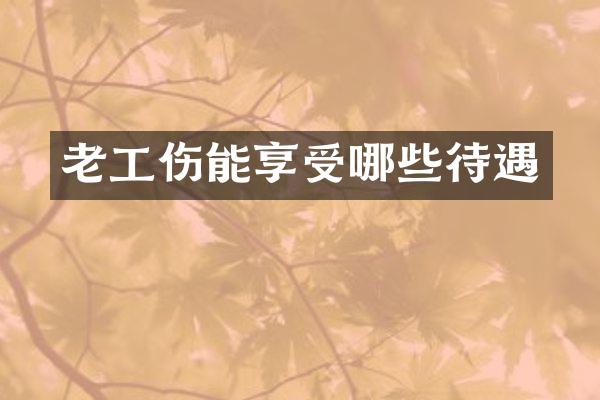 老工伤能享受哪些待遇