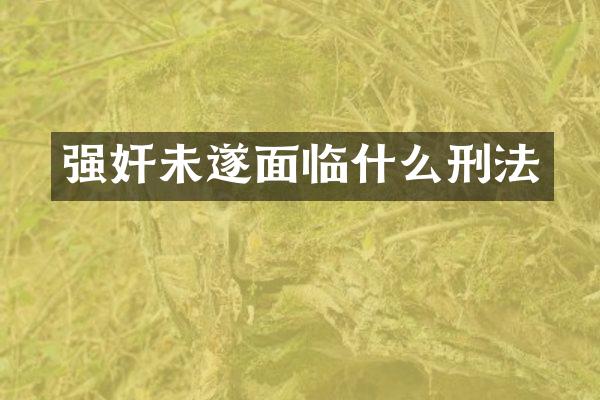 未遂面临什么刑法