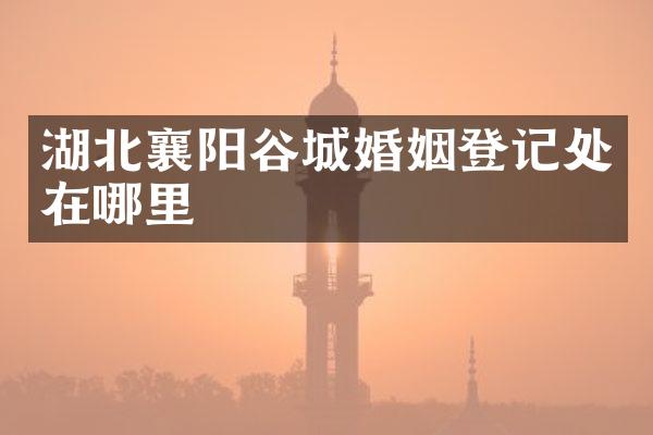 湖北襄阳谷城婚姻登记处在哪里