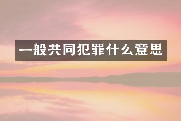一般共同犯罪什么意思