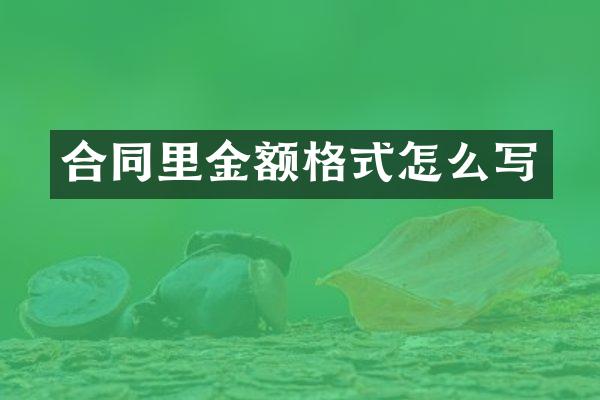 合同里金额格式怎么写