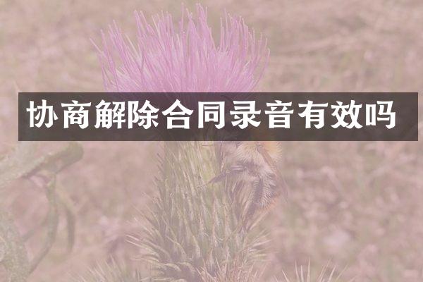 协商解除合同录音有效吗