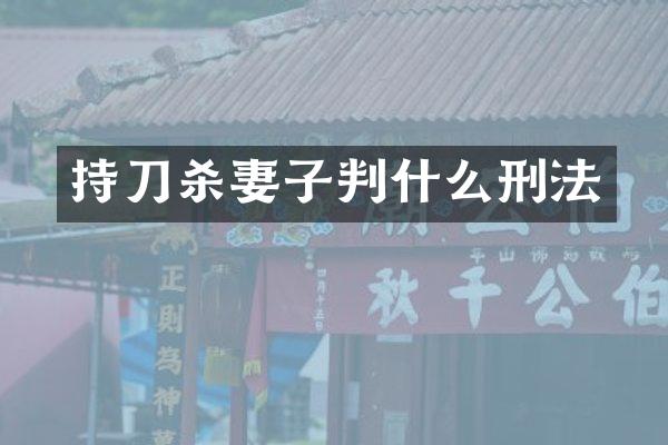持刀杀妻子判什么刑法