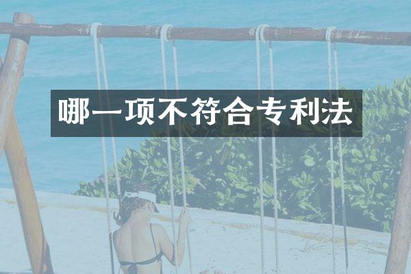 哪一项不符合专利法