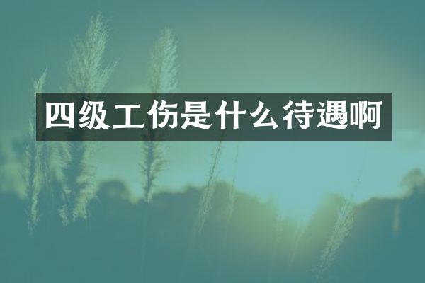 四级工伤是什么待遇啊