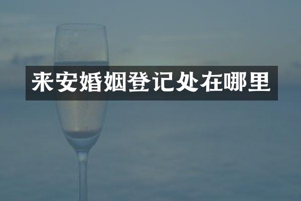来安婚姻登记处在哪里
