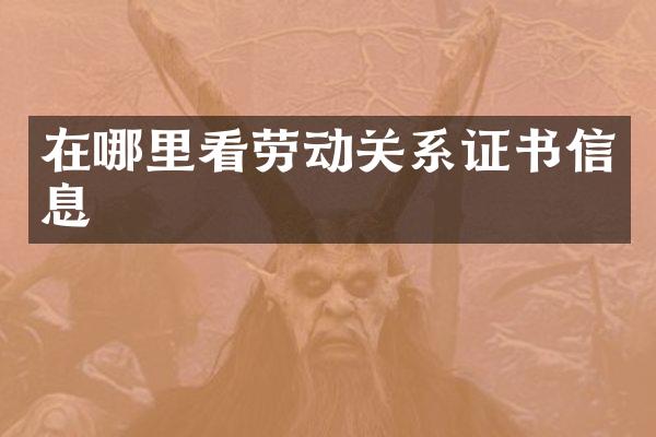 在哪里看劳动关系证书信息