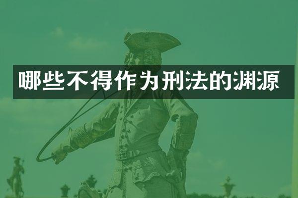 哪些不得作为刑法的渊源