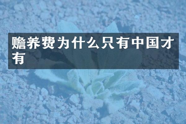 赡养费为什么只有中国才有
