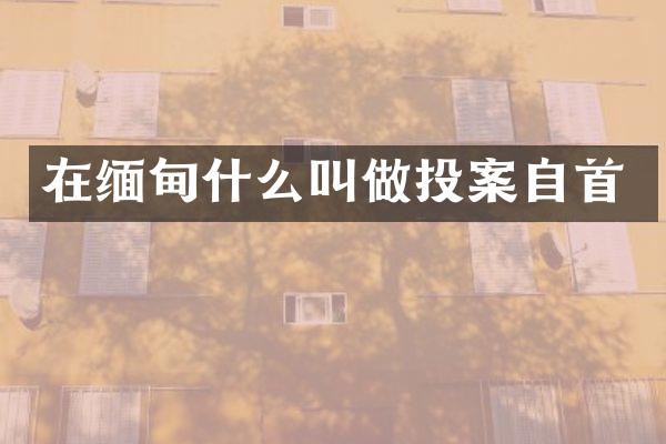 在缅甸什么叫做投案自首