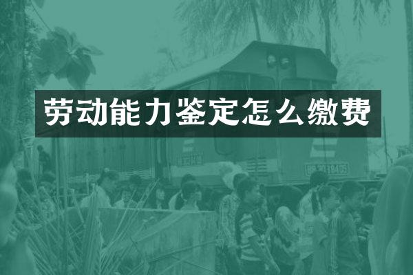 劳动能力鉴定怎么缴费