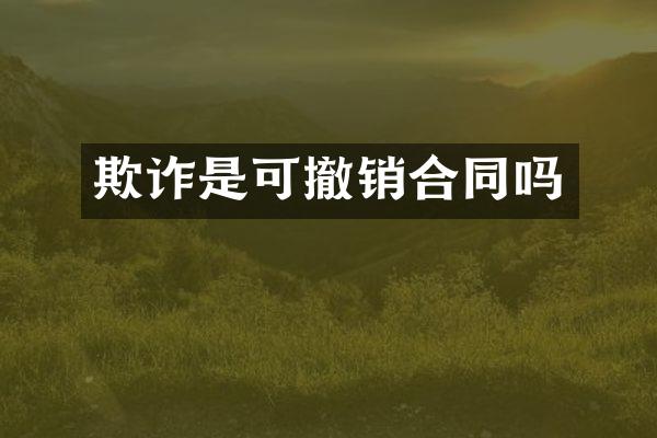欺诈是可撤销合同吗