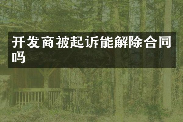 开发商被起诉能解除合同吗