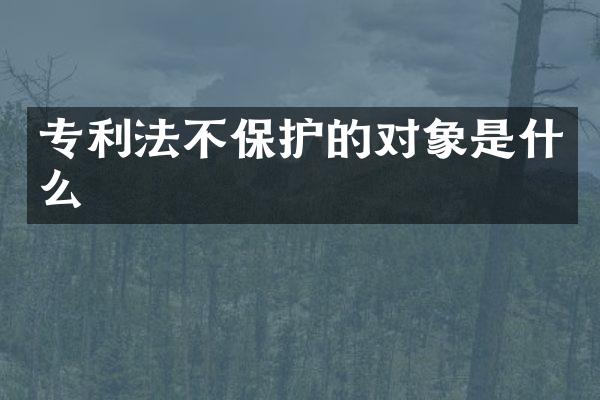 专利法不保护的对象是什么