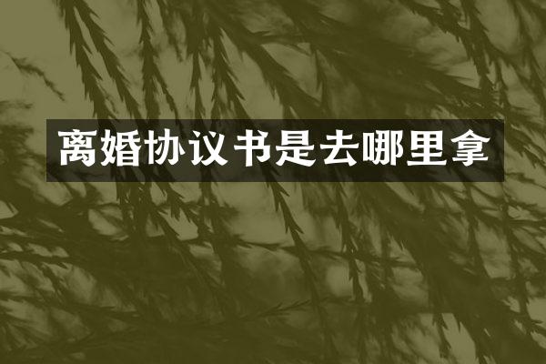 离婚协议书是去哪里拿