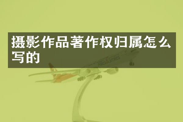 摄影作品著作权归属怎么写的