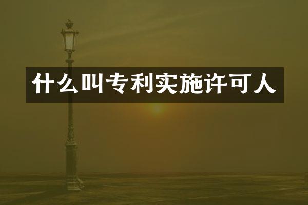 什么叫专利实施许可人