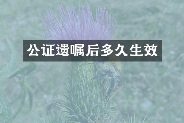 公证遗嘱后多久生效