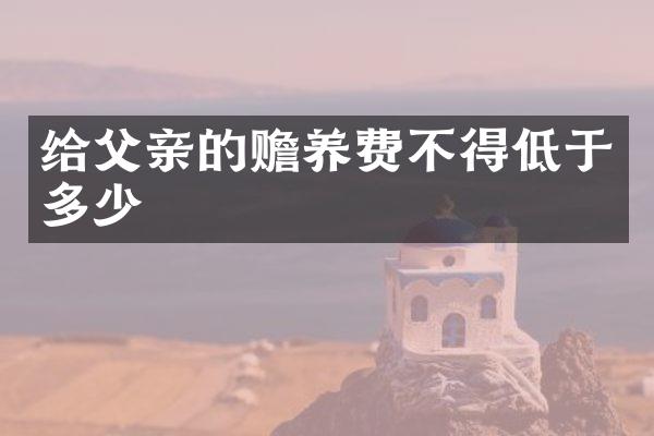 给父亲的赡养费不得低于多少