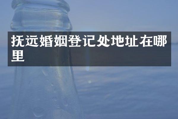 抚远婚姻登记处地址在哪里