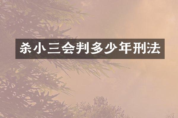 杀会判多少年刑法