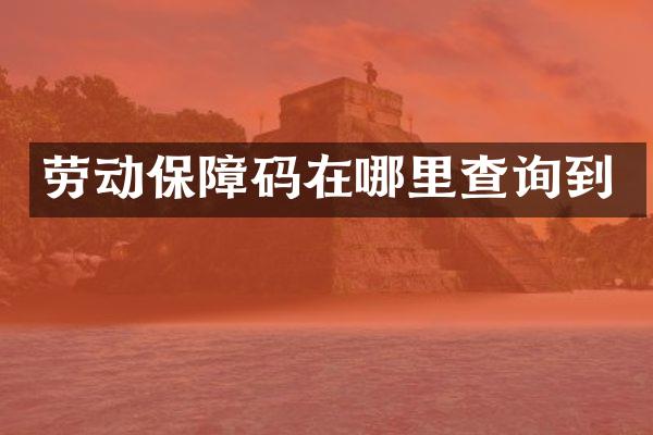 劳动保障码在哪里查询到