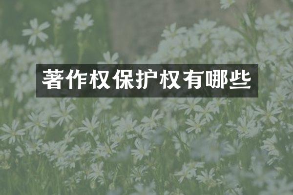 著作权保护权有哪些