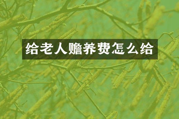 给老人赡养费怎么给
