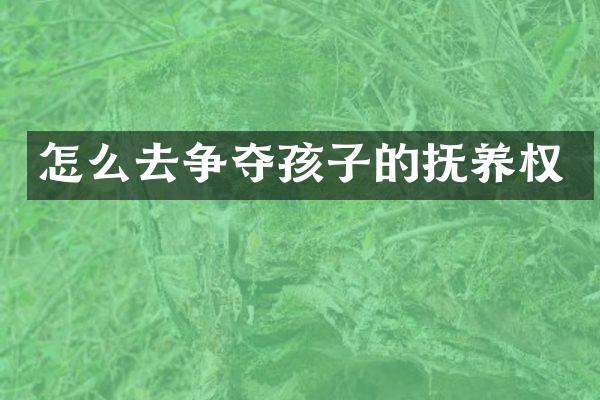 怎么去争夺孩子的抚养权